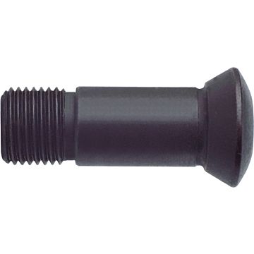 Upínací šrouby TORX Upínací šrouby TORX