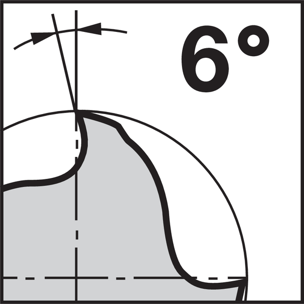 Pikto Rückspanwinkel: 6